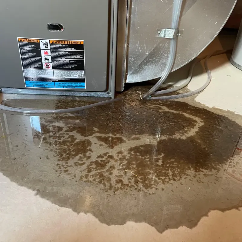 Appliance Leak Cleanup in Greendale, IN